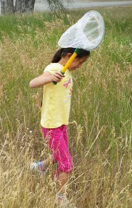 Catching Butterflies at BBR RV Park