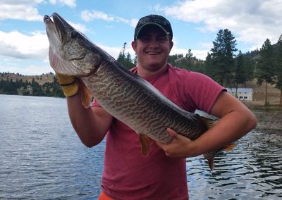 Tiger Muskie catch